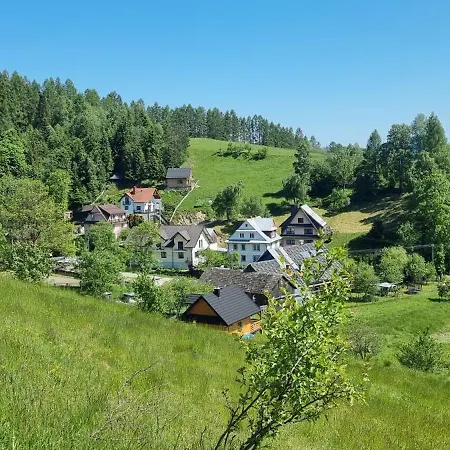 Cicha Blisko Natury Apartament Mizerna
