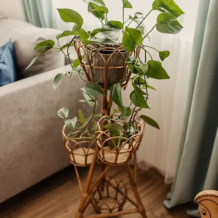 Cicha Blisko Natury Apartament *